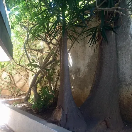 Amelie Qute * La Canea