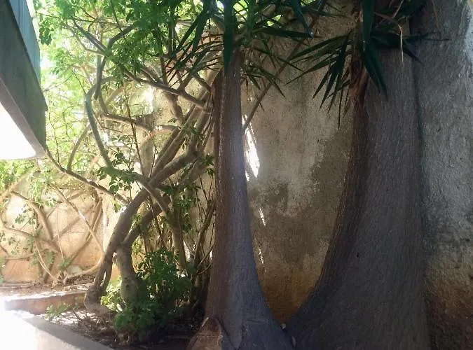 Amelie Qute * Chania (Crete)